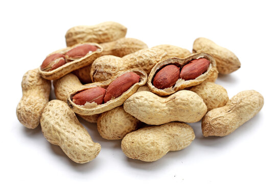 Roasted peanuts in shell on white background.