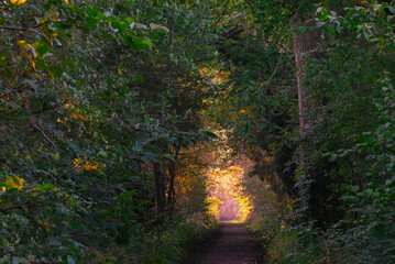 Beautiful view of a Belgian nature reserve