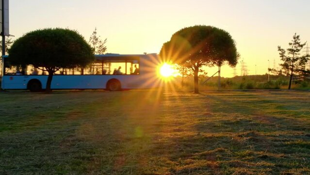 A beautiful sunset over a grassy field, silhouettes of a bus and two trees loom against the golden sky. The sun's rays create a warm and peaceful atmosphere.