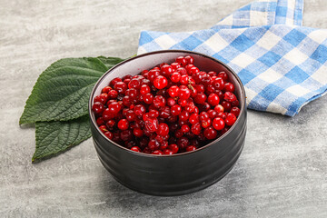 Ripe sweet wild organic cowberry