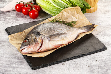 Raw dorada fish served rosemary