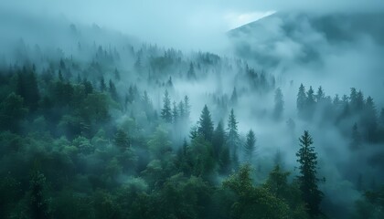 A foggy forest with tall trees. The fog obscures the details of the forest, giving it a mystical atmosphere. 
