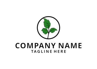 illustration of a leaf logo design with a black circle on a white background. logo vector