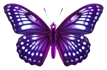 PNG Butterfly purple insect black background.