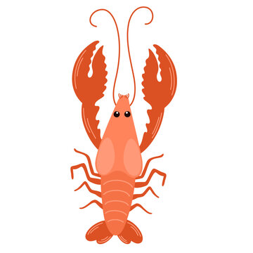 recommend clip art: Lobster. Crayfish seafood, delicacy. Gourmet appetizer. Delicious raw seafood delicatessen. Flat vector illustration isolated on white background