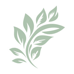 A simple green leaf illustration with several branches and leaves