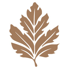 Fototapeta premium A brown leaf with a symmetrical, feathered pattern