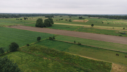 Obraz premium Nature landscape with fields, farmland and meadow view.