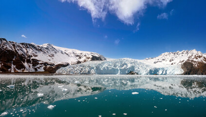 Nutrient-rich waters of Aialik Bay teaming with wildlife, Kenais Fjords National Park, Seward, Alaska, USA