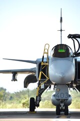 Warplane JAS-39 Gripen Fighter Aircraft in Hangar