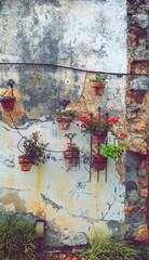 Vibrant Flower Pots Hanging On Aged Stone Wall