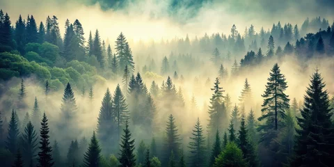 Tableau sur plexiglas Forêt brumeuse Misty landscape featuring a vintage fir forest in hipster retro style, mist, fog, landscape, vintage, retro, hipster  © Sujid