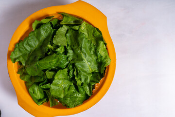 Freshly picked green spinach leaves, washed, in yellow colander, marble worktop