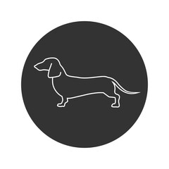 Dachshund dog line icon on white background in flat. Vector illustration