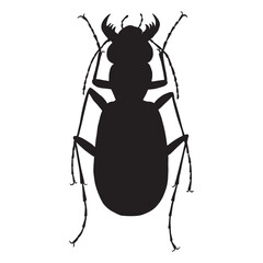 Cicindelidae beetle with wings illustration isolated. Cephalota besseri. Monochrome Silhouette bug. Cicindelidae. Beetle Carabidae collection