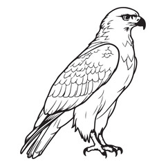 Simple flat hawk icon design, black vector illustration on white background