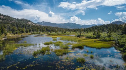 A view of a national park with diverse ecosystems, promoting the importance of conservation and responsible recreation.