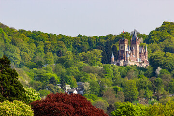 Distanced view from river Rhine at Burg Drachenfels (Dragonstone Castle) with lush forest in spring in Königswinter, Germany