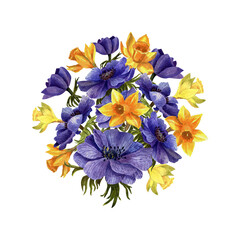 Watercolor floral illustration . Floral composition from flowers anemones and daffodils
