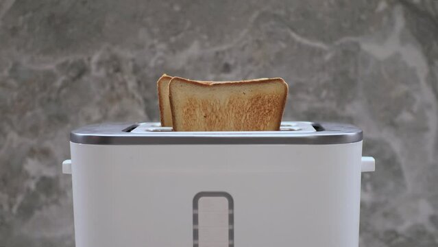Woman's hand takes toasted bread popping up from white toaster. Close up womans hand takes. Close up.