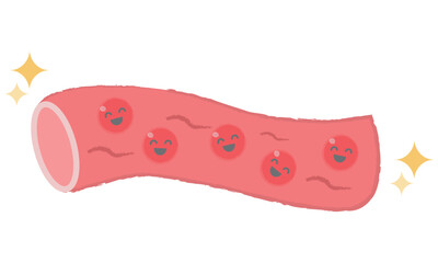 きれいな血管　サラサラの血