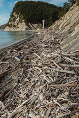 A rocky shoreline littered with driftwood and debris, with a lighthouse in the background and a forested cliffside. Two people are walking along the beach.