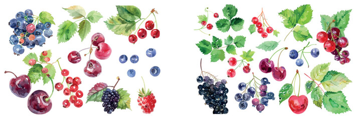 This watercolor illustration depicts strawberries, currants, cherries, blackberries, and gooseberries.