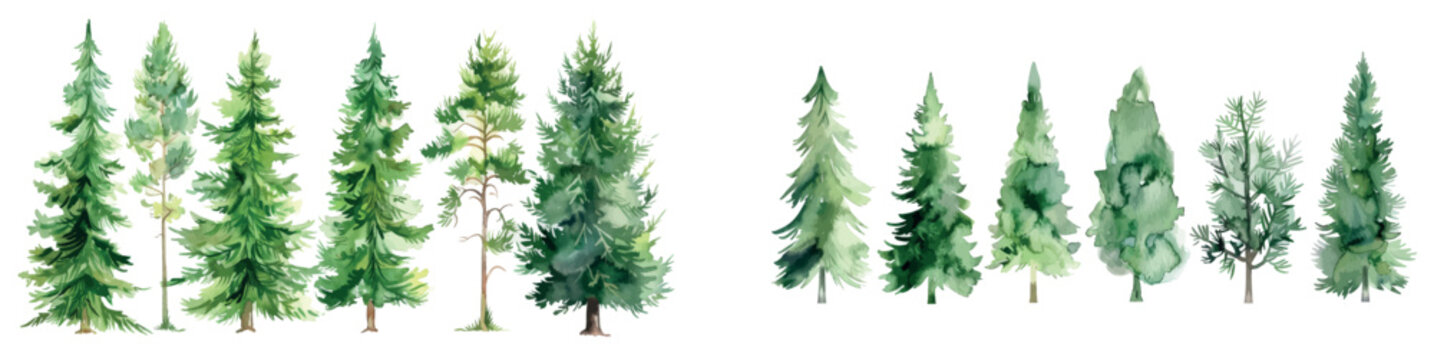 The watercolor artwork depicts green pine trees against a white background. The silhouettes of fir trees and splashes behind them make up the watercolor background.