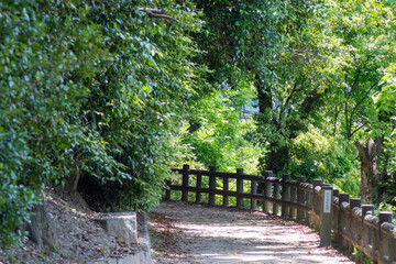 Obraz premium Walking path into Okayama Korakuen Garden in Okayama
