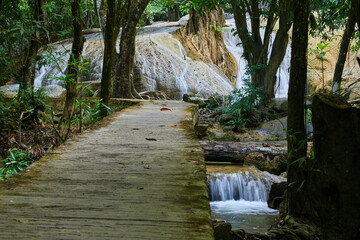 Obraz premium Scenic view of limestone waterfall in forest 