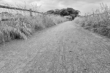 path made of chippings with fences on the left and right, greyscale shot