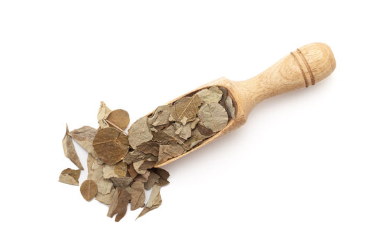 Top view of a wooden scoop filled with Organic Moringa (Moringa oleifera) leaves. Isolated on a white background.