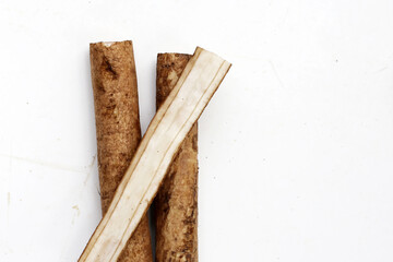 Burdock Root (Gobo) on white background.
