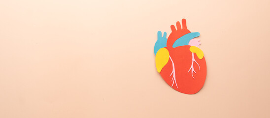 Human heart organ anatomy made from paper on beige background. Template for cardiology, world heart day and organ donation concept. Awareness of cardiovascular disease.