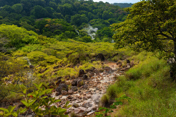 smoky rainforest in the Rincon de la Vieja national park in Costa Rica