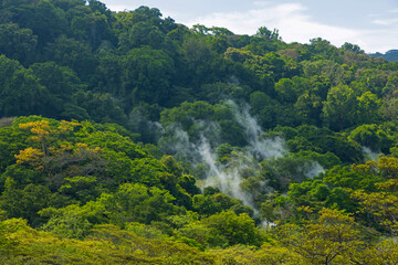 smoky rainforest in the Rincon de la Vieja national park in Costa Rica