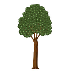 Mughal Theme Pichhwai Plant	
