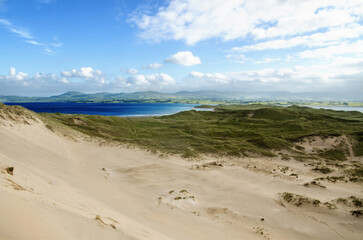 Tufts of grass on sand dunes in Ireland with a view of the ocean and horizon. World Environment Day, Earth Day, World Sand Dune Day