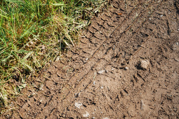 tire track in the mud