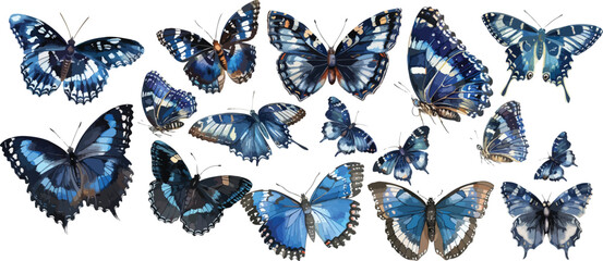blue butterfly watercolor clipart	