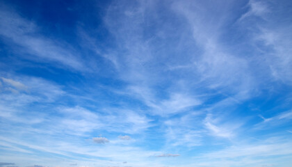 White fluffy clouds in the sky.