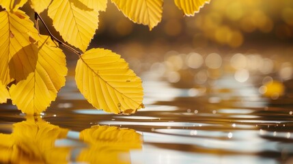 Golden leaves on calm lake waters, reflecting a stunning autumn landscape, detailed and vibrant, serene and tranquil nature background