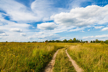 Country road through the fields on sunny summer day