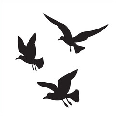 Vector Silhouette of Flying Seagulls: Coastal and Marine Wildlife Illustration