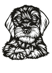 Dachshund Dog SVG, Dog Breed SVG, Dog SVG, Pet SVG, Cat SVG, Best Friend SVG, Guard SVG, Dog Lover SVG, Peeking Animal SVG, Dachshund Dog Silhouette, Vector, Clipart, Cut file for Cricut PNG, JPG, SVG