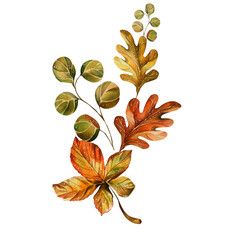 Bright Composition Autumn Leaves Oak, Maple, Eucalyptus. Watercolor illustration. For Postcards, Websites, Wallpaper, Packaging, Textiles, Stationery