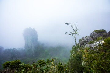 The Pinnacle rock a very tall quartzite rock in Graskop Mpumalanga South Africa, Pinnacle Rock near...