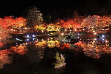 静岡県 伊豆 修善寺虹の郷もみじライトアップ