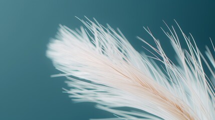 Feather-like plant close-up, macro shot with intricate textures, soft natural light, high contrast, sharp focus, capturing delicate and detailed structures, perfect for abstract backgrounds
