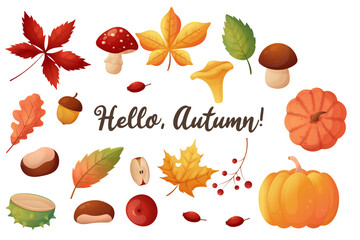 A set of autumn elements. Leaves, mushrooms, chestnuts and pumpkins. Isolated on a white background.